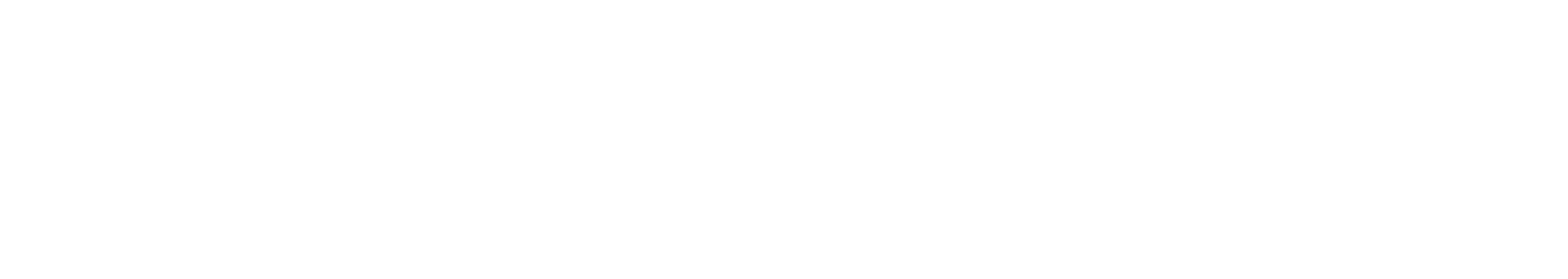 vsi-innovation logo